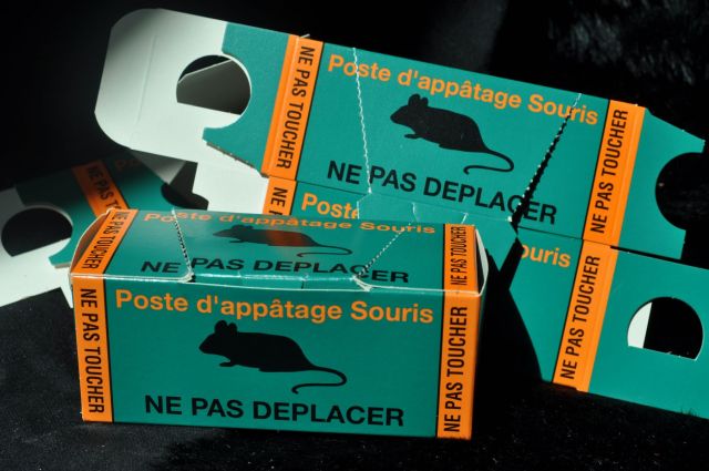 Poste carton souris