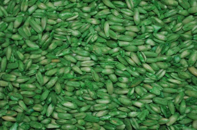 Raticide Avoine d�cortiqu�e bromadiolone sac 20Kg